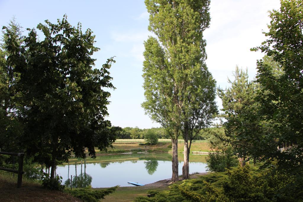 La Cle Des Champs Villa Biltzheim Cameră foto